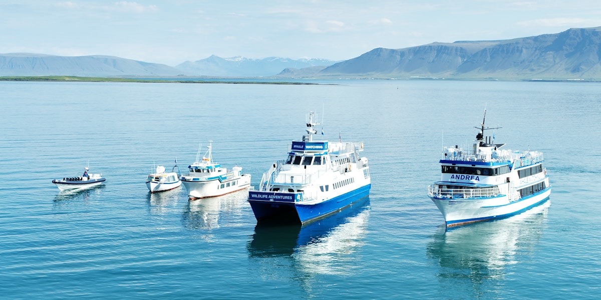 Special Tours