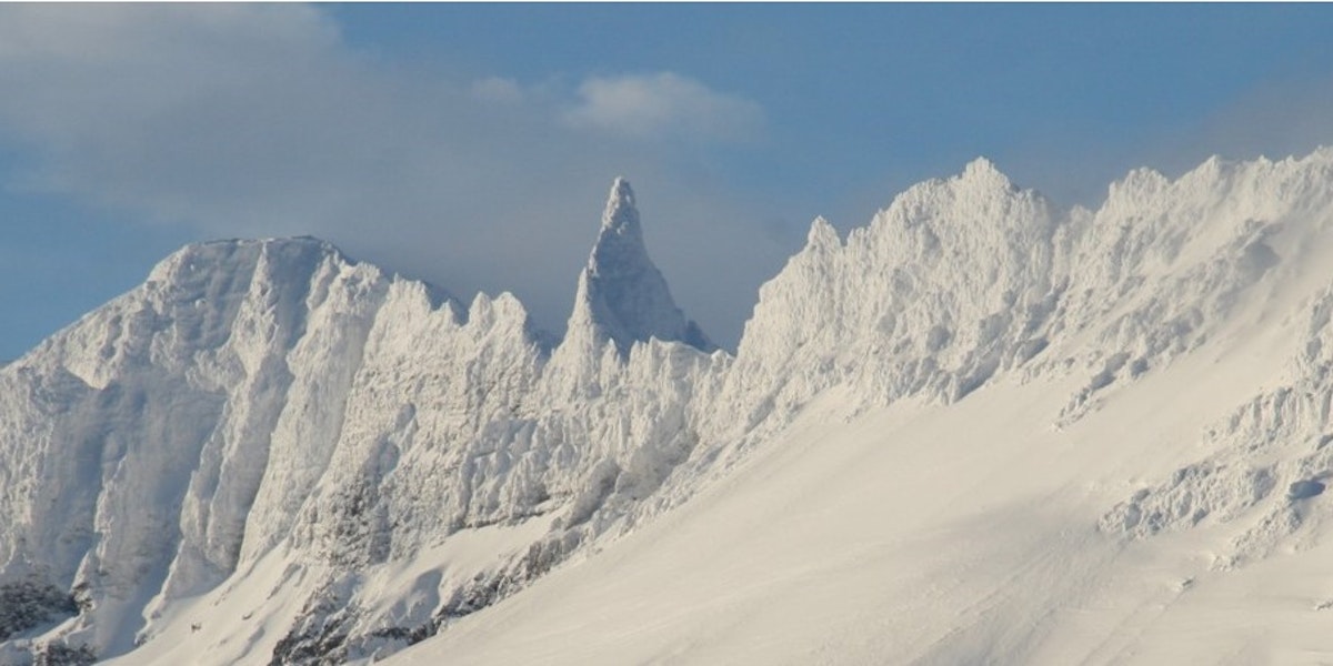 Heilsuleikskólinn Álfasteinn
