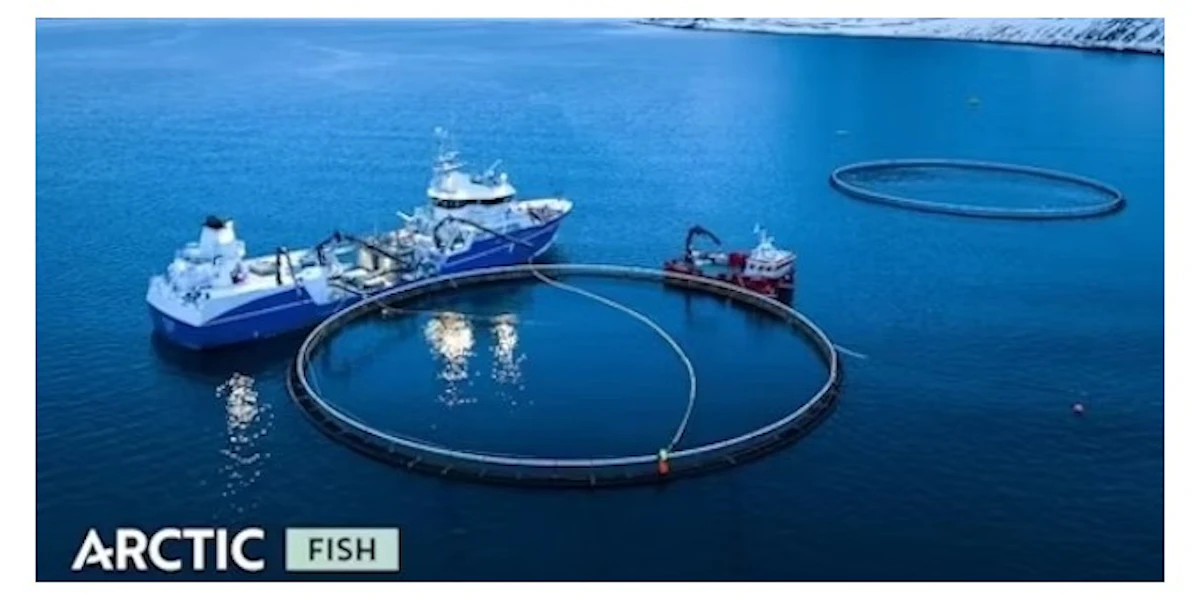 Arctic Fish