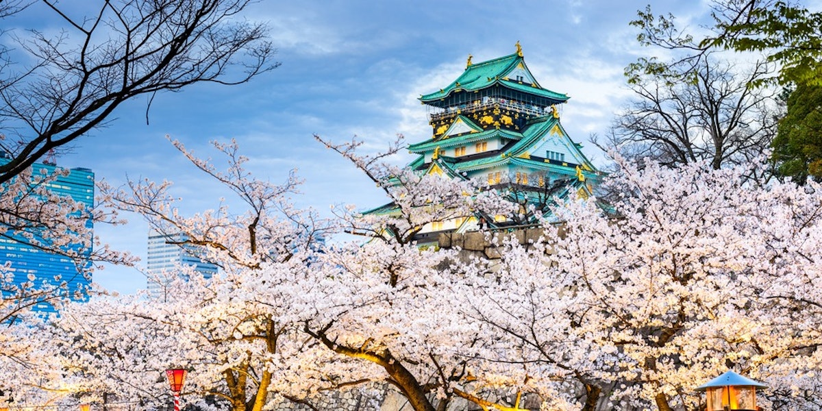 Trip To Japan