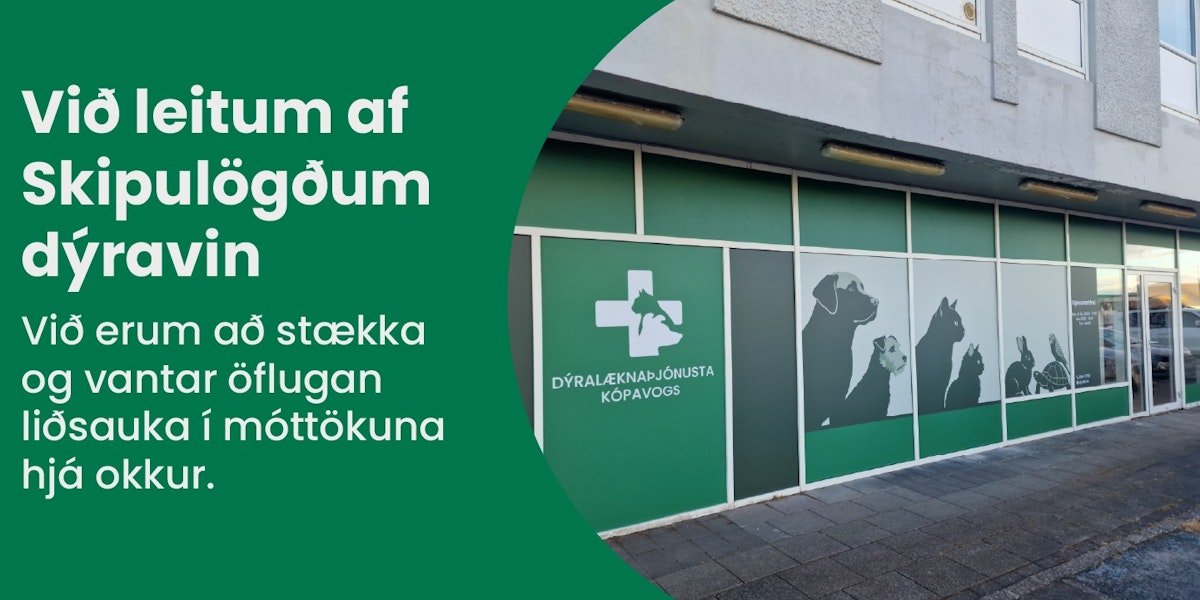 Dýralæknaþjónusta Kópavogs ehf.