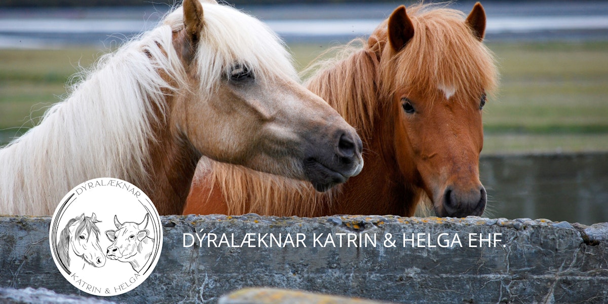 Dýralæknar Katrin og Helga ehf.
