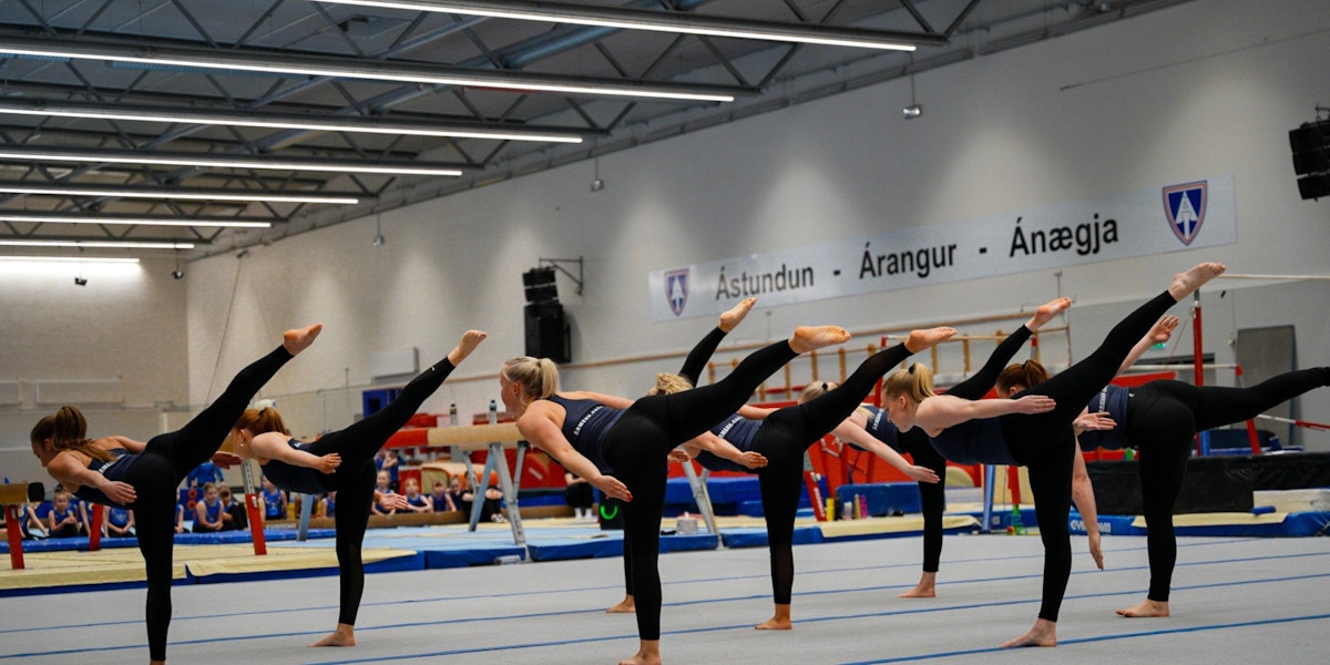 Fimleikadeild Ármanns