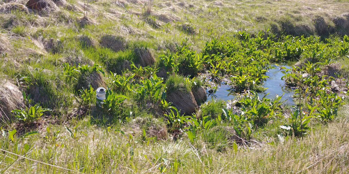 Heilbrigðiseftirlit Suðurlands 