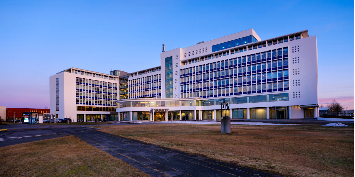 Menntavísindasvið Háskóla Íslands