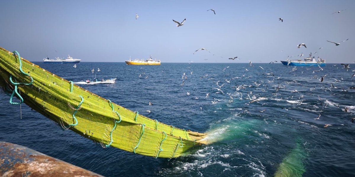 Rawanq Al Salam International LLC