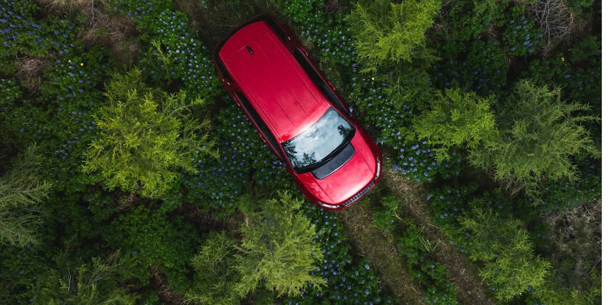 Avis og Budget