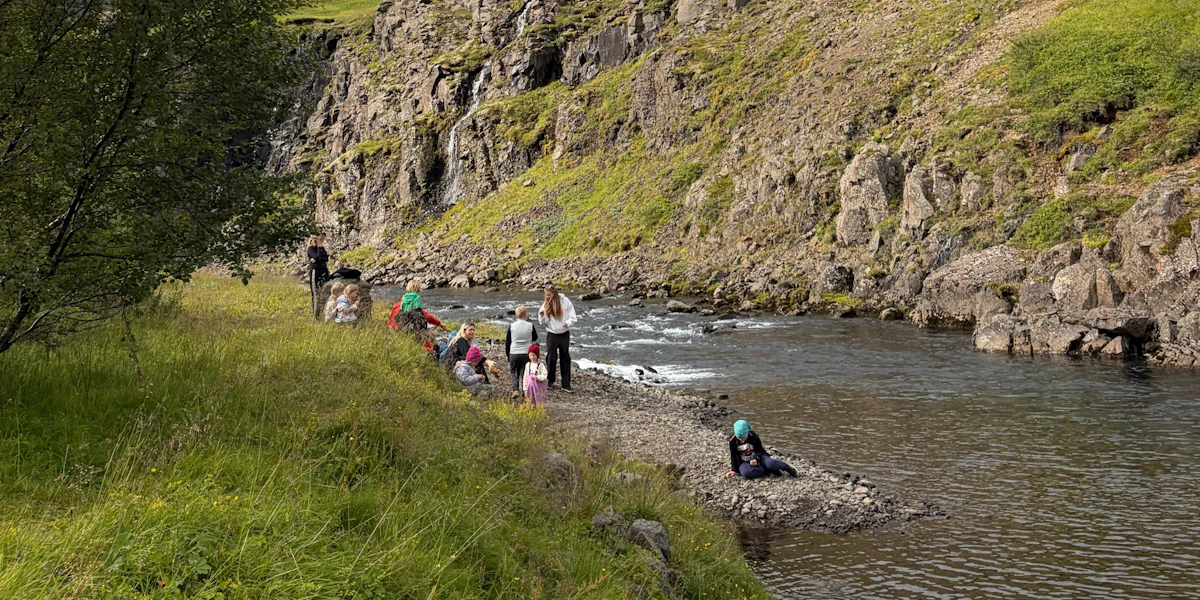 Fjölskyldusvið