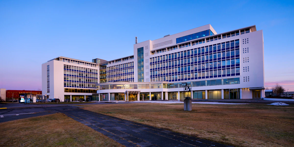 Menntavísindasvið Háskóla Íslands