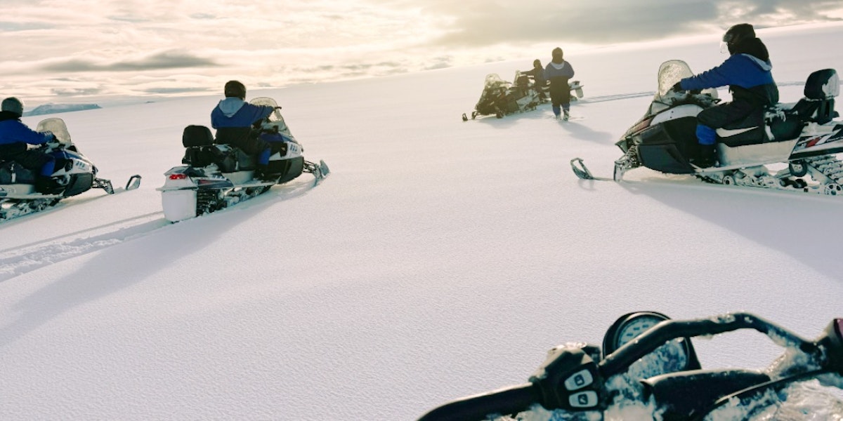 Snow Safari