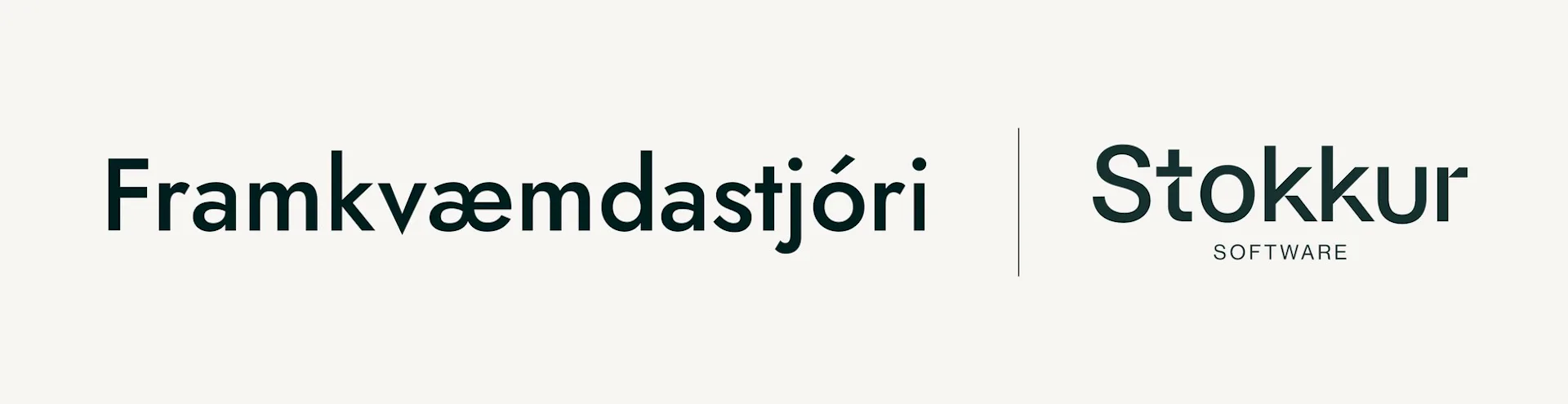 Framkvæmdastjóri