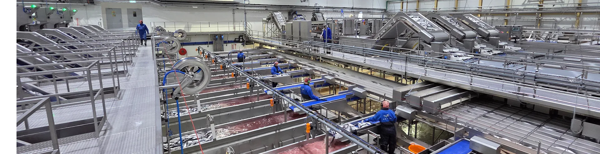 Verkstjóri í uppsjávarvinnslu – Eskju