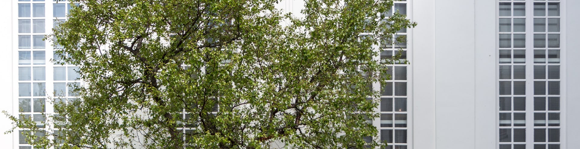 Sérfræðingur í reikningshaldi