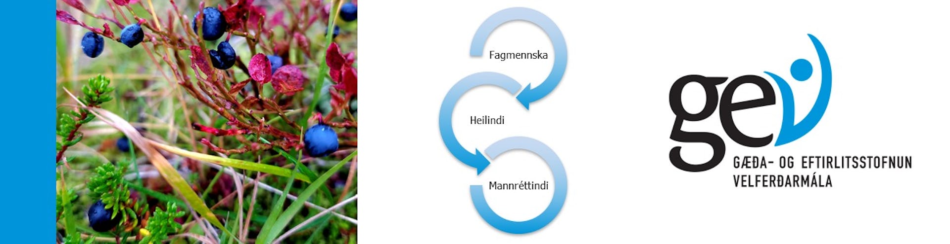 Ert þú lögfræðingur sem vilt efla gæði félagsþjónustu?