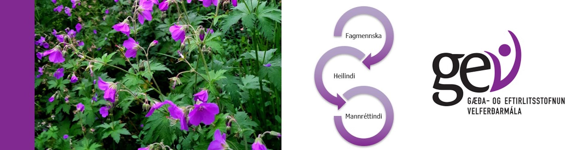 Vilt þú starfa við að efla gæði barnaverndarþjónustu?