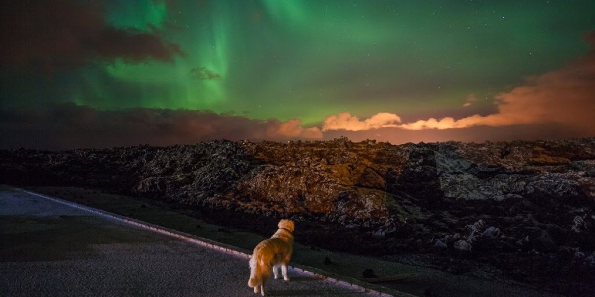 Northern Light Inn