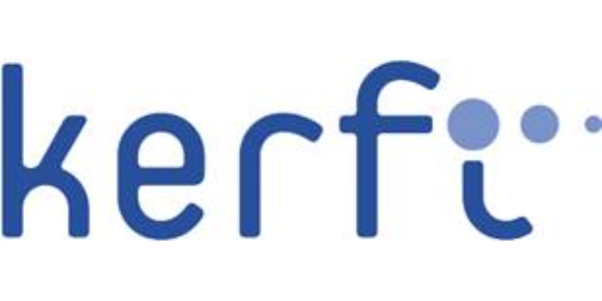 Kerfi Fyrirtækjaþjónusta