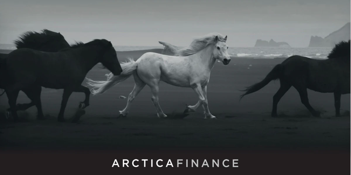 Arctica Finance