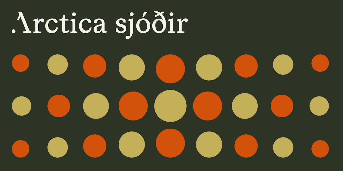 Arctica Sjóðir