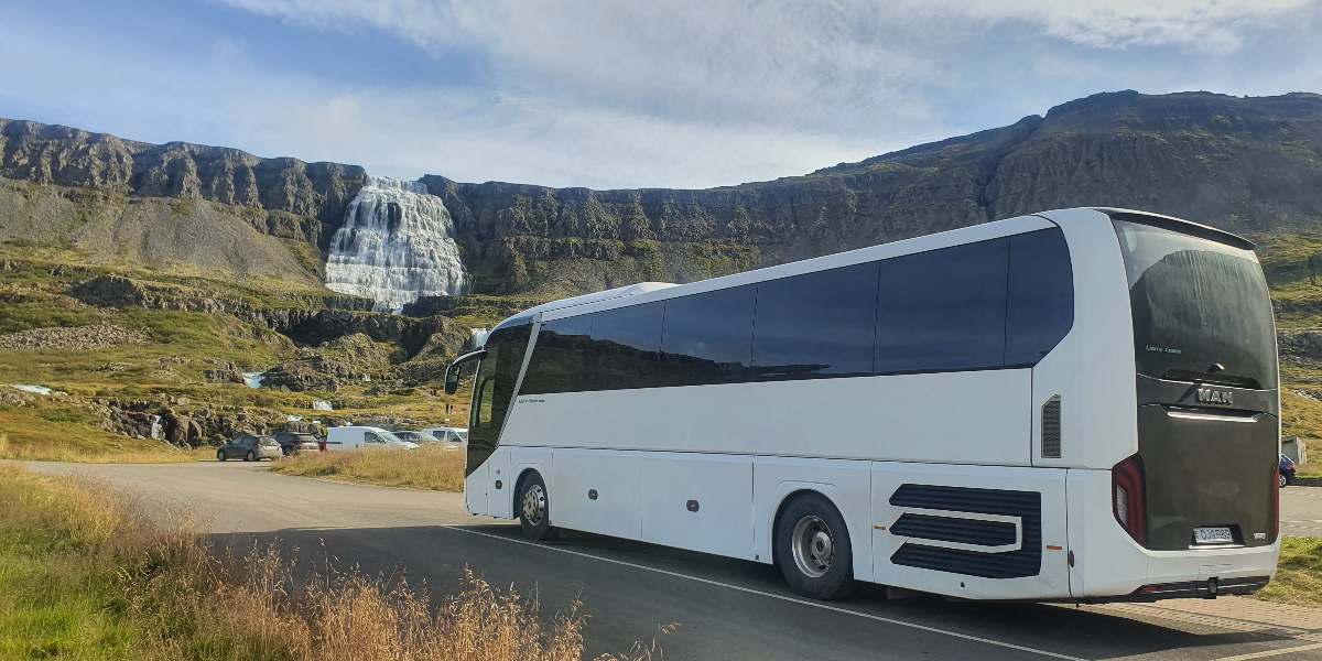 Vestfirskar Ævintýraferðir - West Travel