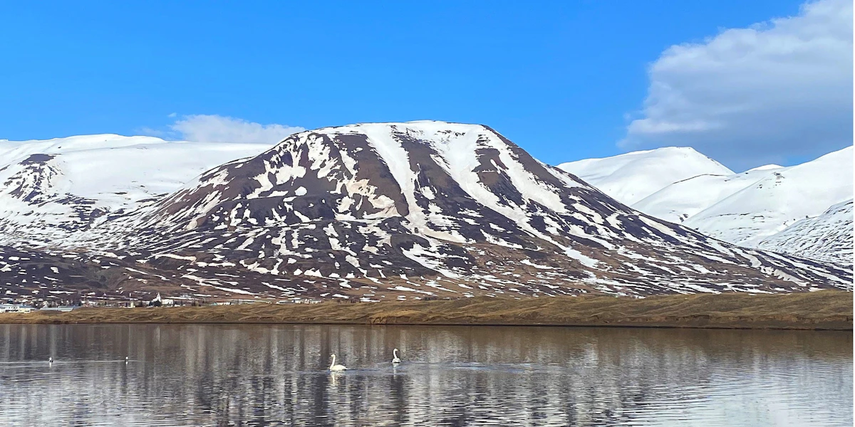 Dalvíkurbyggð