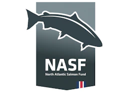 NASF á Íslandi