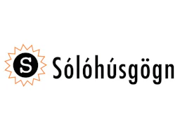 Sólóhúsgögn