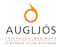 Augljós