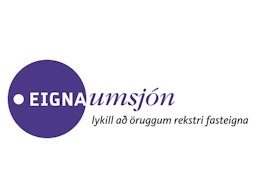 Eignaumsjón