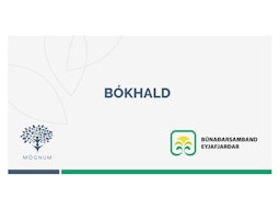 Búvís ehf