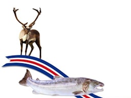 Fiskás ehf.