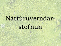 Náttúruverndarstofnun