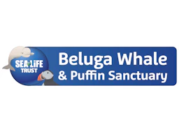 The Beluga Operating Company ehf.