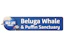 The Beluga Operating Company ehf.