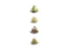 Fæðuapótek