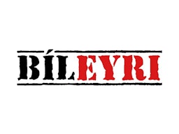 Bíleyri ehf.