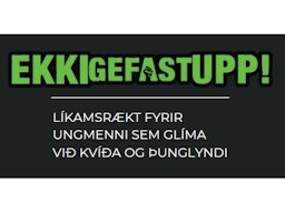 Ekki Gefast Upp!