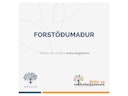 FORSTÖÐUMAÐUR