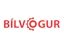 Bílvogur